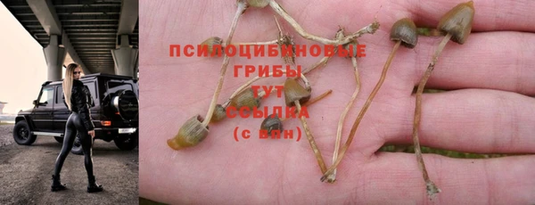 меф Лихославль