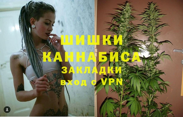 тгк Липки