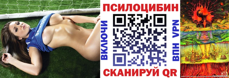 Купить где  Бронницы  Псилоцибиновые грибы MAGIC MUSHROOMS 